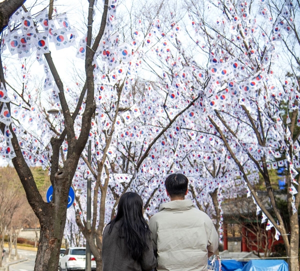 01 지난해 효창공원을 찾은 사람들이 ‘태극기 거리’를 구경하고 있다 (사진=용산구청제공)